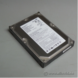 Seagate ST3300831A 300GB IDE HDD Hard Drive